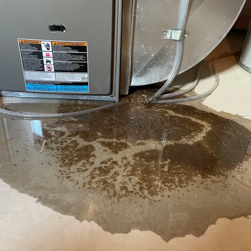 Appliance Leak Cleanup in Lebanon, OH