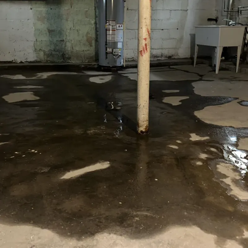 Emergency Water Extraction And Removal in Lebanon, OH